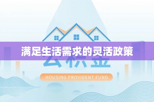 港南满足生活需求的灵活政策