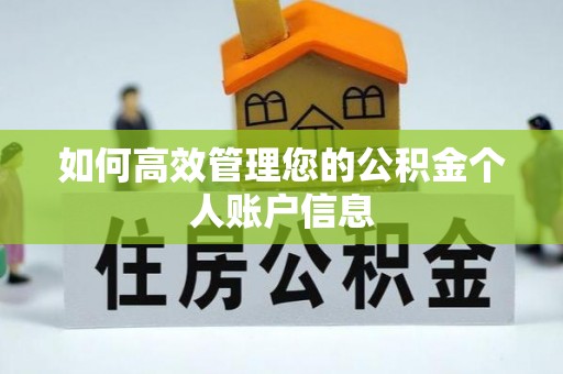 港南如何高效管理您的公积金个人账户信息