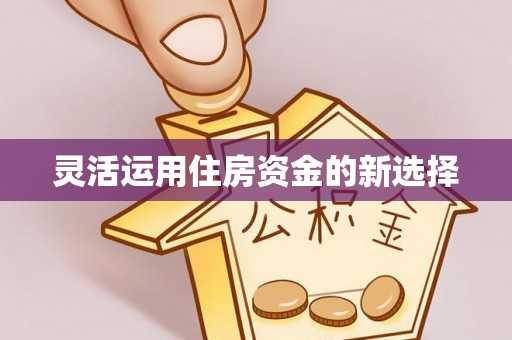 港南灵活运用住房资金的新选择