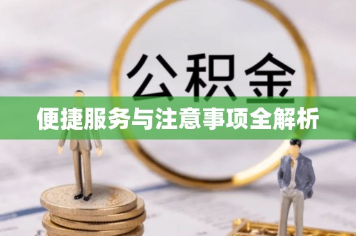 港南便捷服务与注意事项全解析