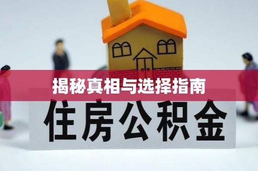 港南揭秘真相与选择指南
