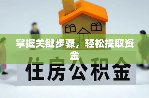 港南掌握关键步骤，轻松提取资金