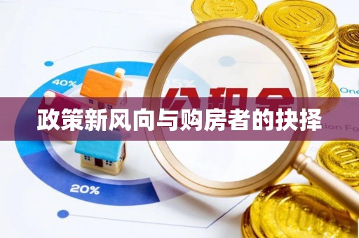 港南政策新风向与购房者的抉择