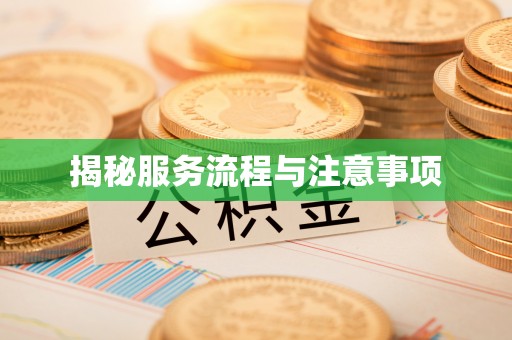 港南揭秘服务流程与注意事项