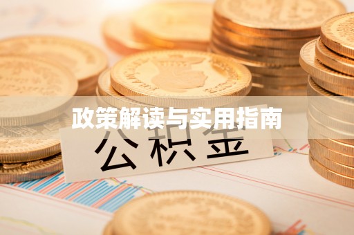 港南政策解读与实用指南
