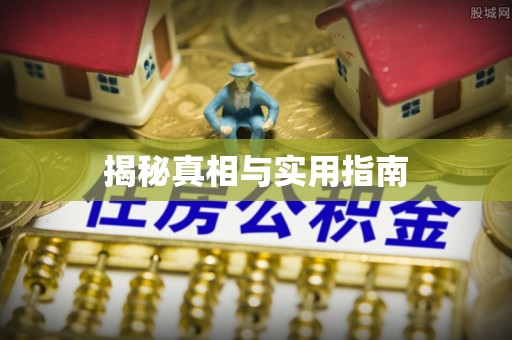 港南揭秘真相与实用指南