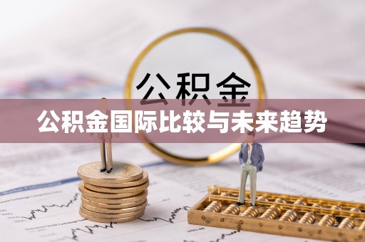港南公积金国际比较与未来趋势