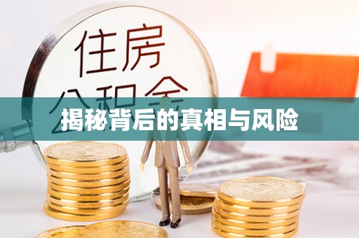 港南揭秘背后的真相与风险