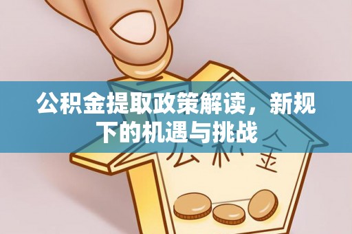港南公积金提取政策解读，新规下的机遇与挑战