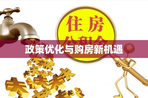 港南政策优化与购房新机遇