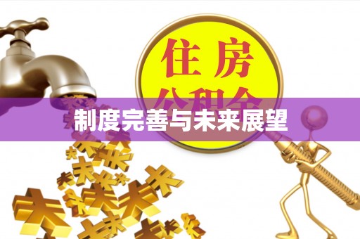 港南制度完善与未来展望