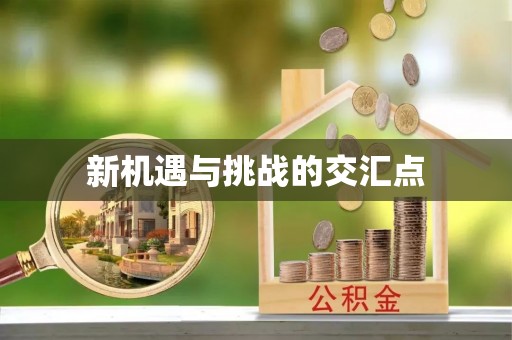 港南新机遇与挑战的交汇点