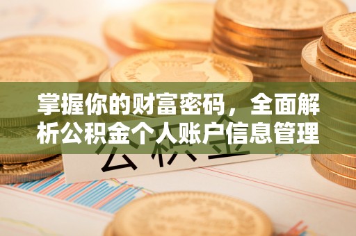 港南掌握你的财富密码，全面解析公积金个人账户信息管理与优化