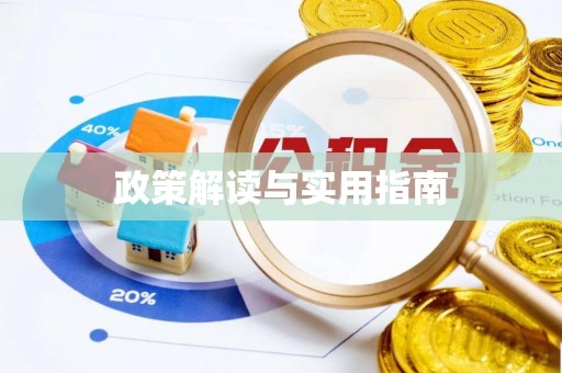港南政策解读与实用指南