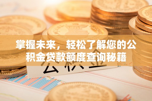 港南掌握未来，轻松了解您的公积金贷款额度查询秘籍
