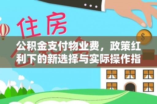 港南公积金支付物业费，政策红利下的新选择与实际操作指南