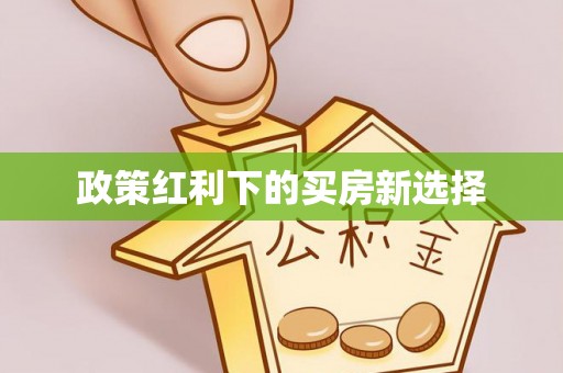 港南政策红利下的买房新选择