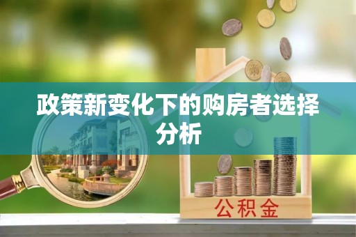 港南政策新变化下的购房者选择分析