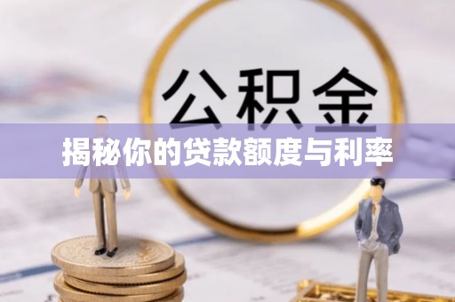 港南揭秘你的贷款额度与利率