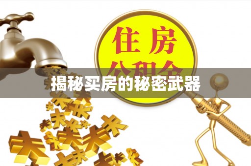 港南揭秘买房的秘密武器