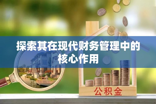 港南探索其在现代财务管理中的核心作用