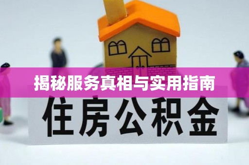 港南揭秘服务真相与实用指南