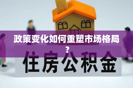 港南政策变化如何重塑市场格局？