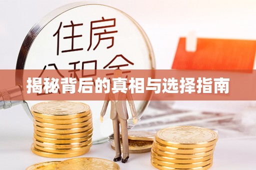 港南揭秘背后的真相与选择指南