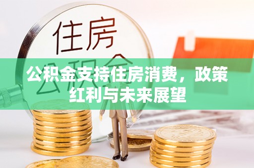 港南公积金支持住房消费，政策红利与未来展望