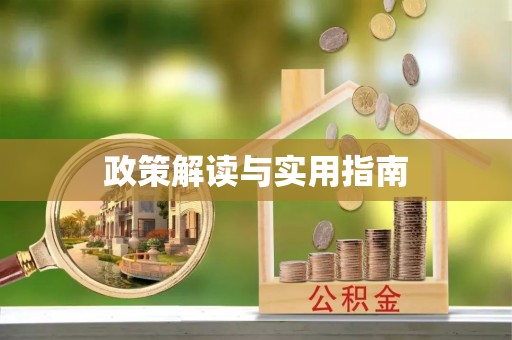 港南政策解读与实用指南