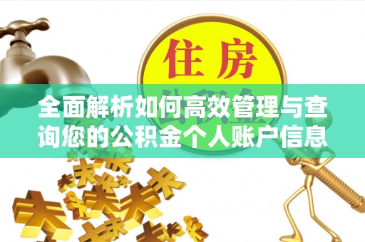 港南全面解析如何高效管理与查询您的公积金个人账户信息