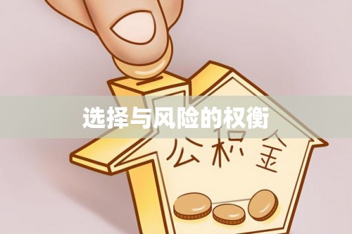 港南选择与风险的权衡