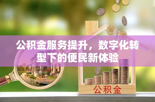 港南公积金服务提升，数字化转型下的便民新体验