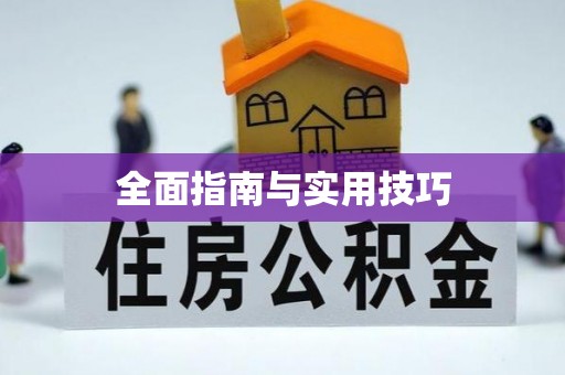 港南全面指南与实用技巧