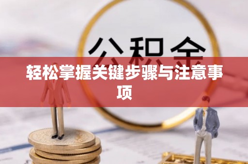 港南轻松掌握关键步骤与注意事项