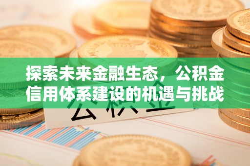 港南探索未来金融生态，公积金信用体系建设的机遇与挑战