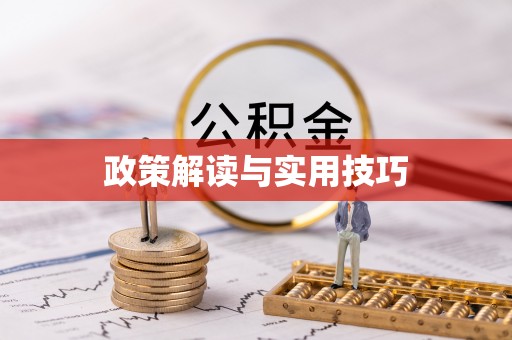 港南政策解读与实用技巧