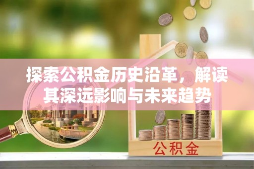 港南探索公积金历史沿革，解读其深远影响与未来趋势