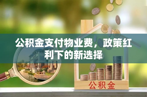 港南公积金支付物业费，政策红利下的新选择