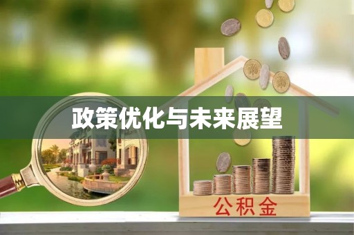 港南政策优化与未来展望