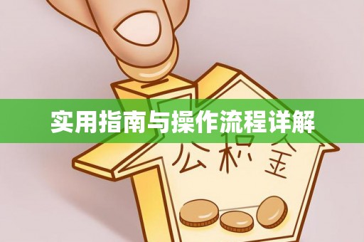 港南实用指南与操作流程详解