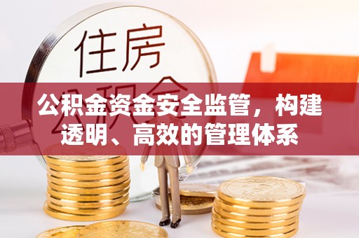 港南公积金资金安全监管，构建透明、高效的管理体系