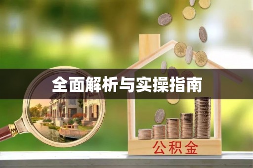 港南全面解析与实操指南
