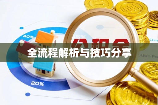 港南全流程解析与技巧分享