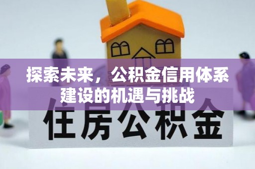 港南探索未来，公积金信用体系建设的机遇与挑战