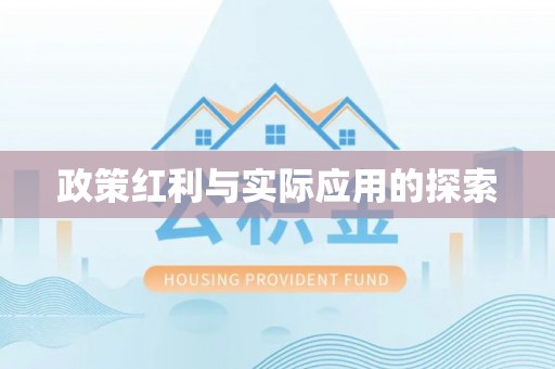 港南政策红利与实际应用的探索