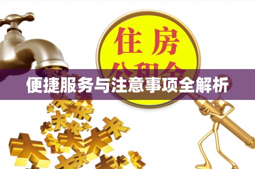 港南便捷服务与注意事项全解析