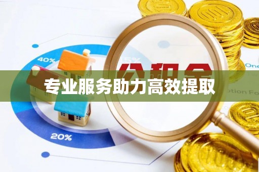 港南专业服务助力高效提取