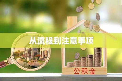 港南从流程到注意事项
