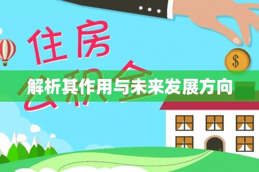 港南解析其作用与未来发展方向